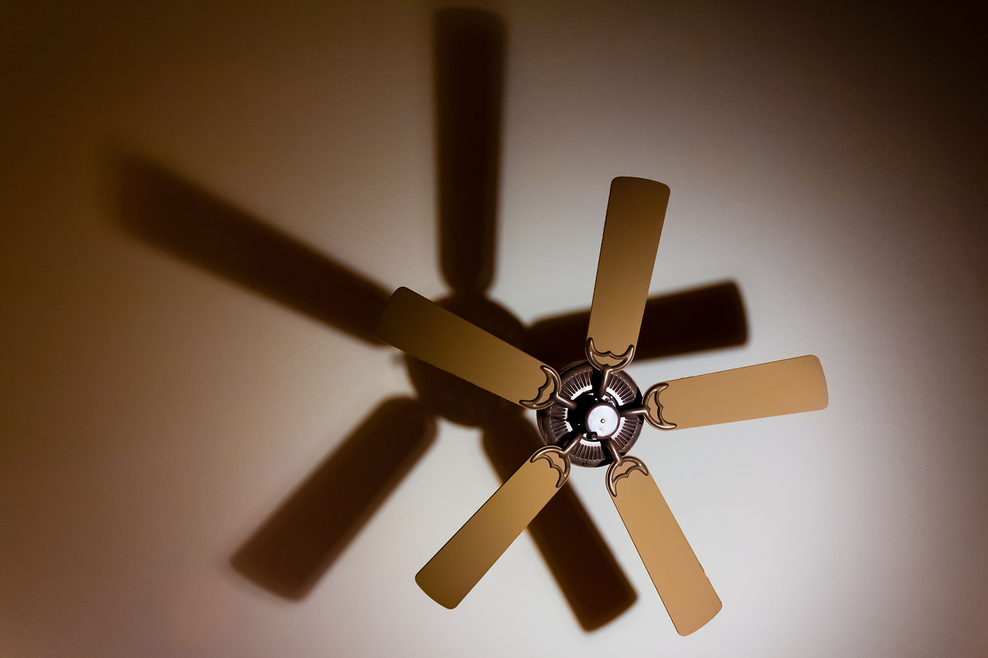 A ceiling fan casting a shadow