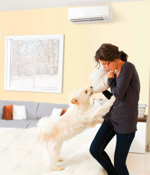 Ductless Systems Westfield MA
