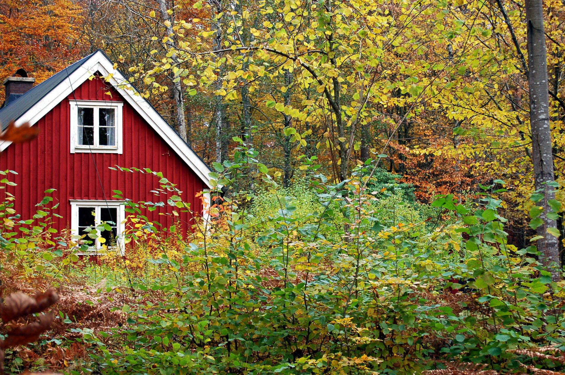 Fall HVAC Care for your Home